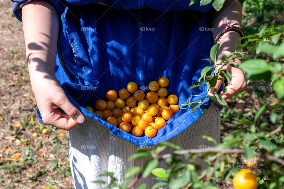 Complementary Colors