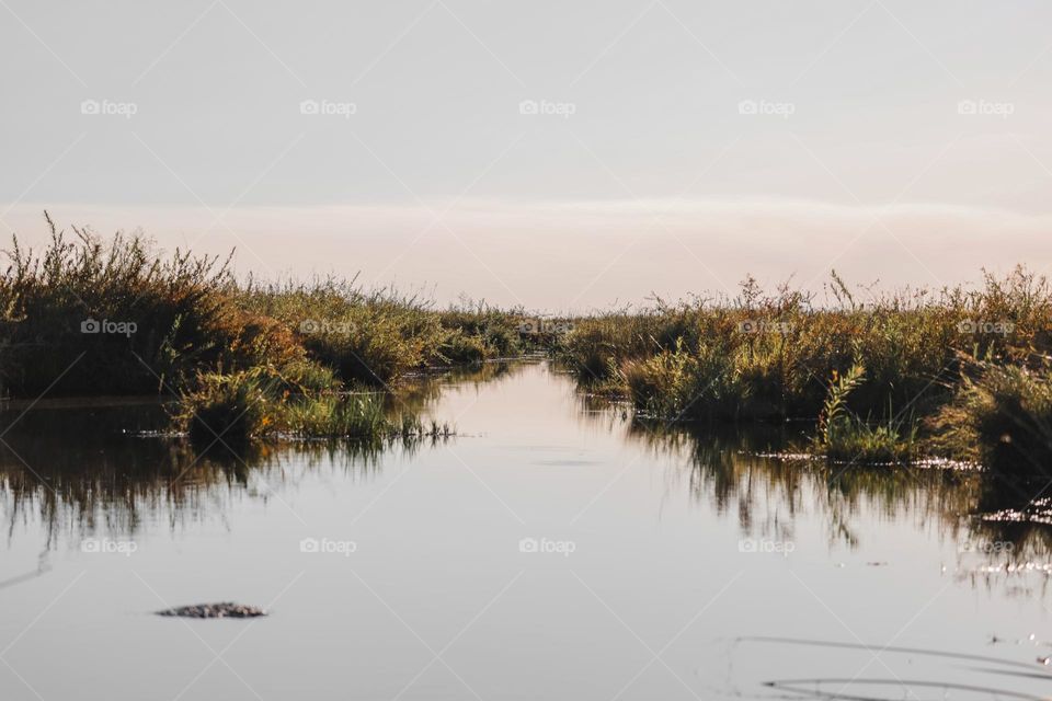 Esteros del Iberá, Argentina