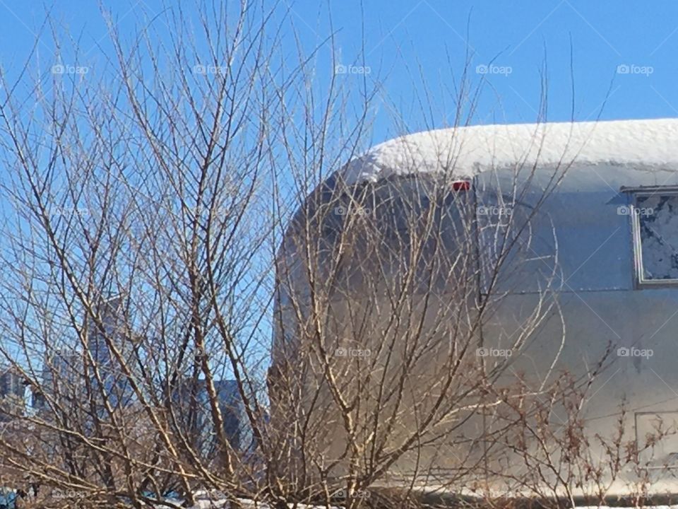 Trees and silver snow-covered trailer against blue sky
