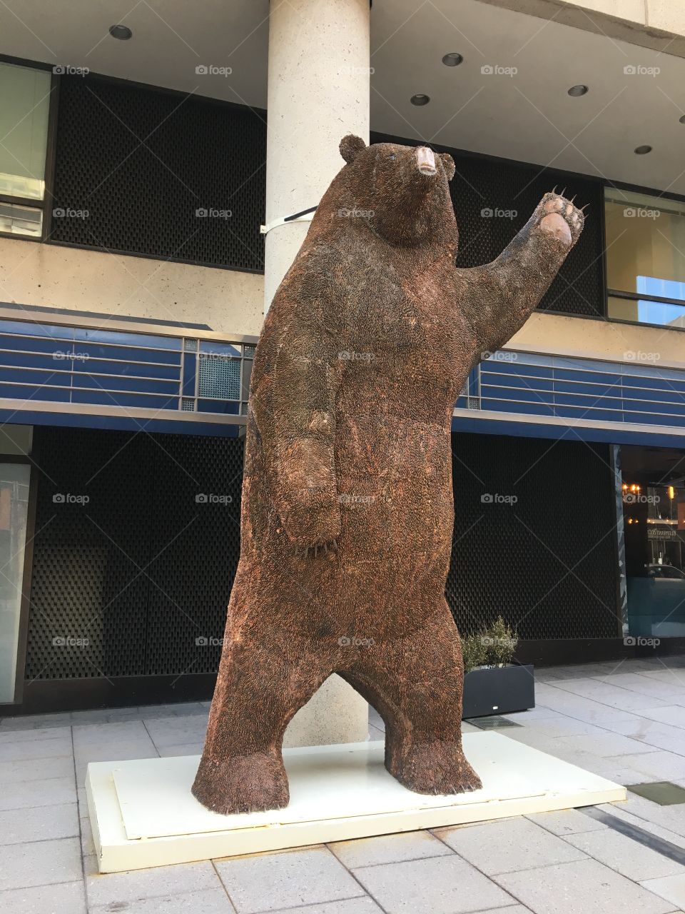 Penny bear sculpture 