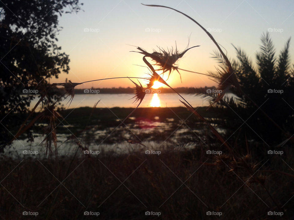 View of lake during sunset