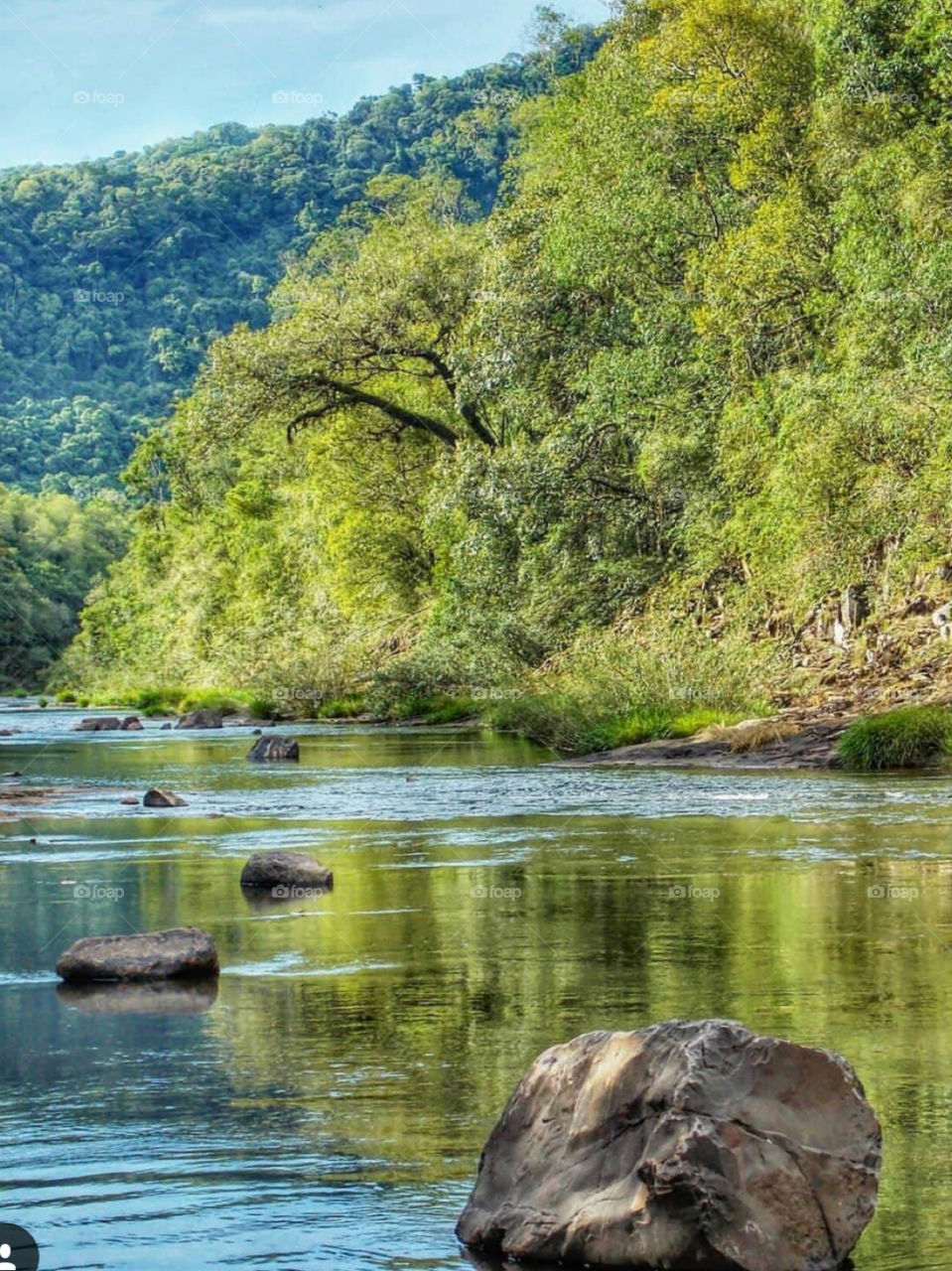 Brazilian paradise world 