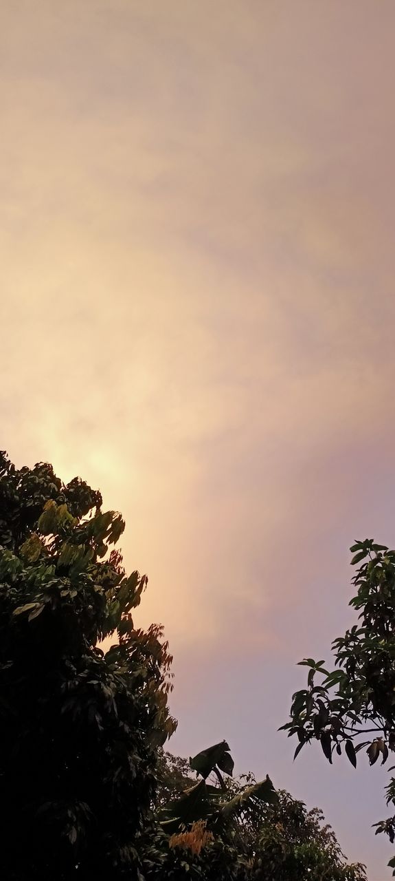 if you  truly love nature, you will find beauty everywhere.😍😍😍