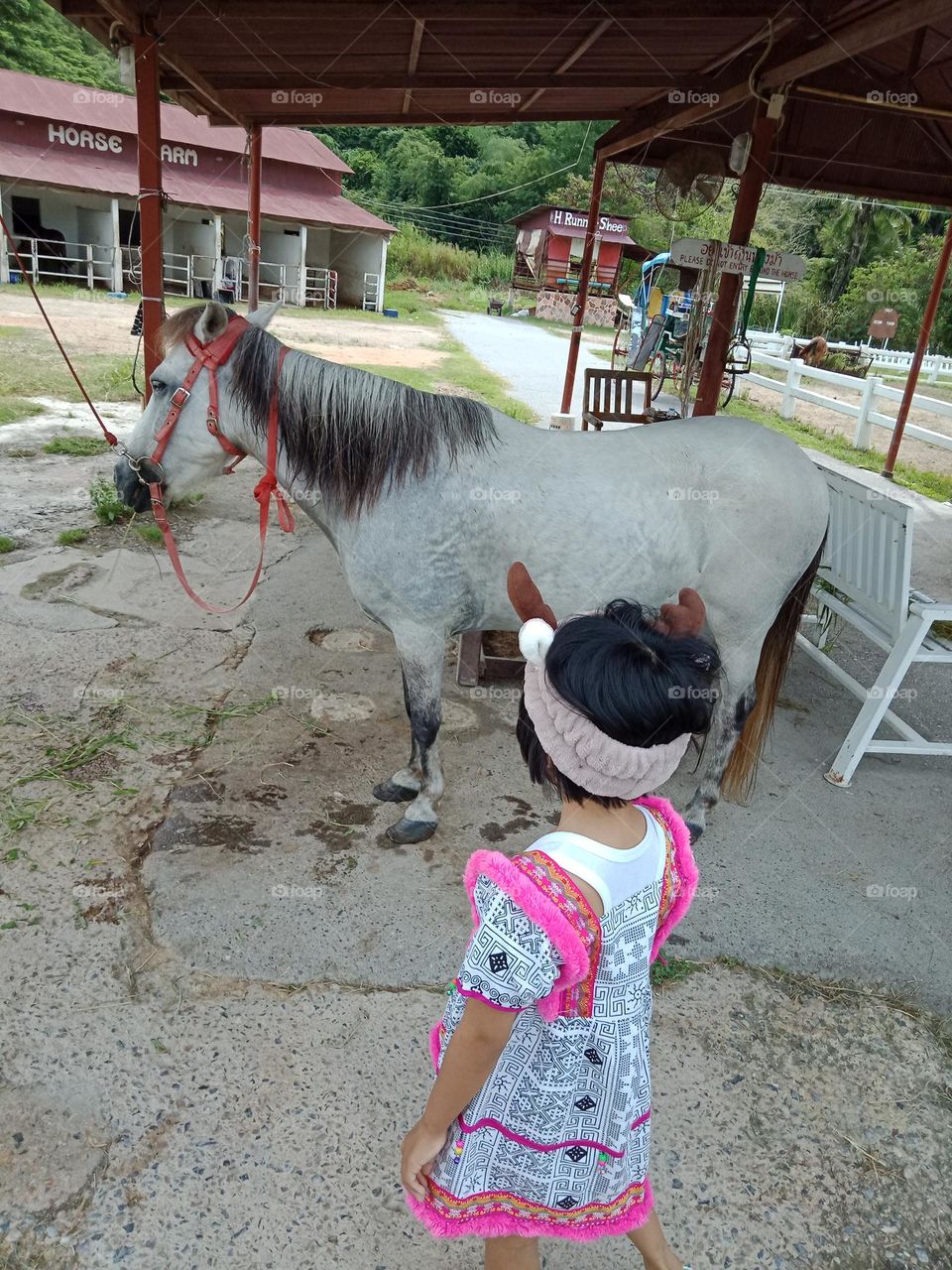 Kid looking at white horse