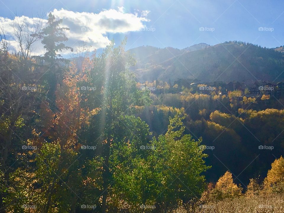 Fall in the mountains 