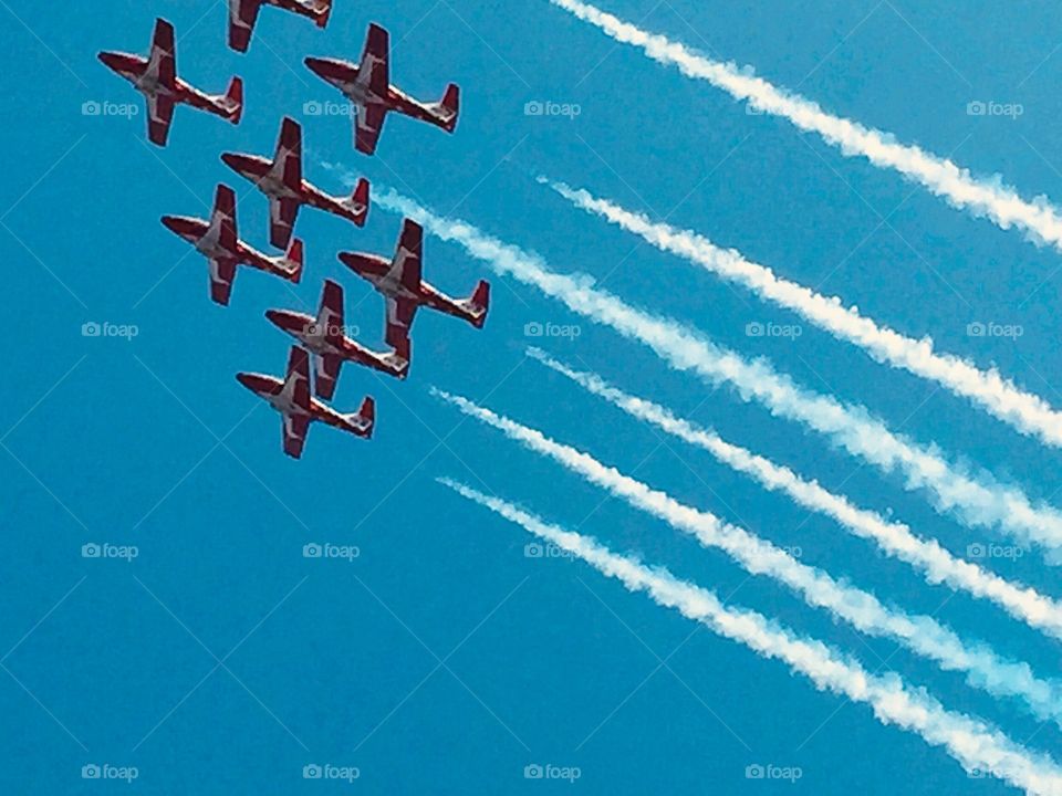 The Snowbirds