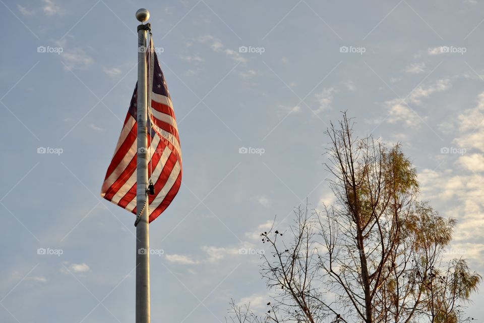 An American flag on a flagpole near a tree with fall-colored leaves against a blue sky