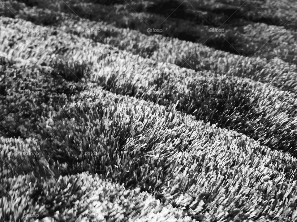 Texture and shades from the rug on my uncle's floor