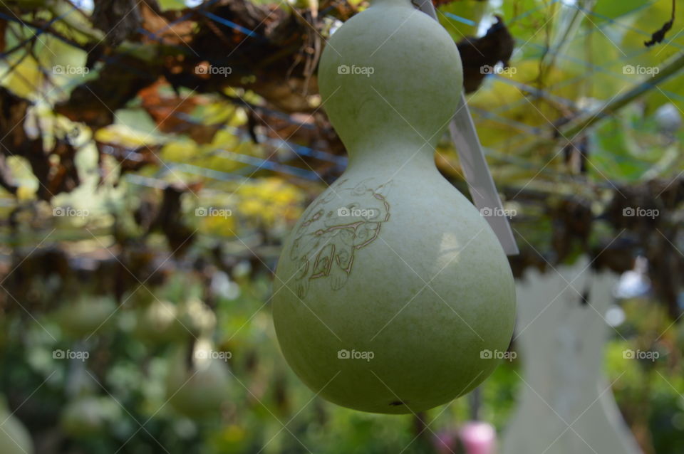 Calabash With Figure Carved On