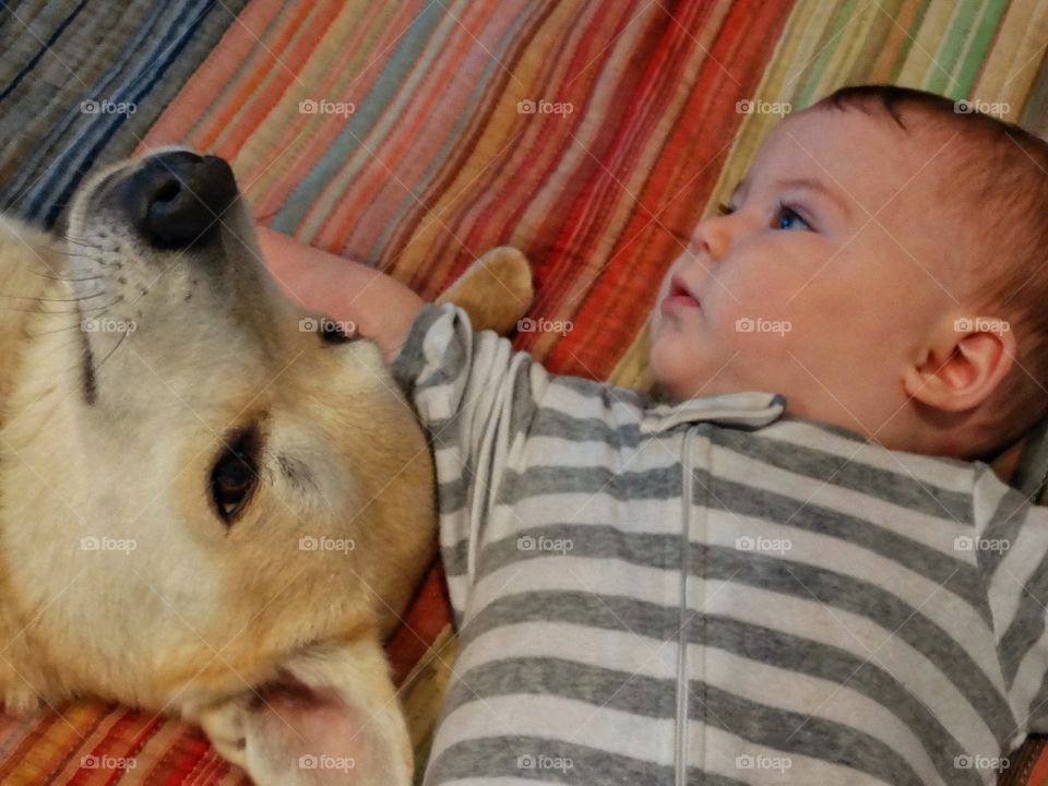 Baby Girl With Family Dog