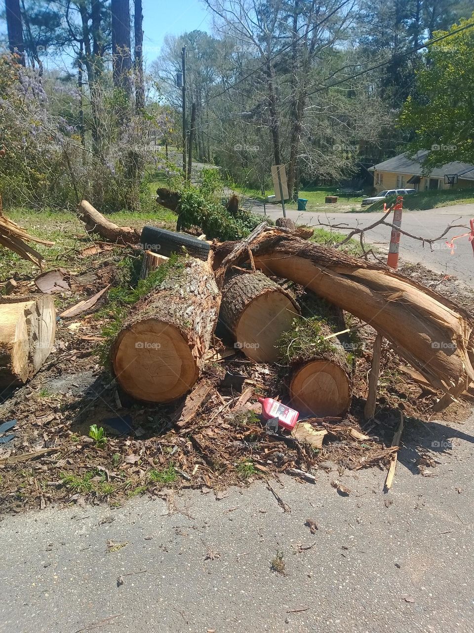 Major Storm Knocking 😔 Down Tree