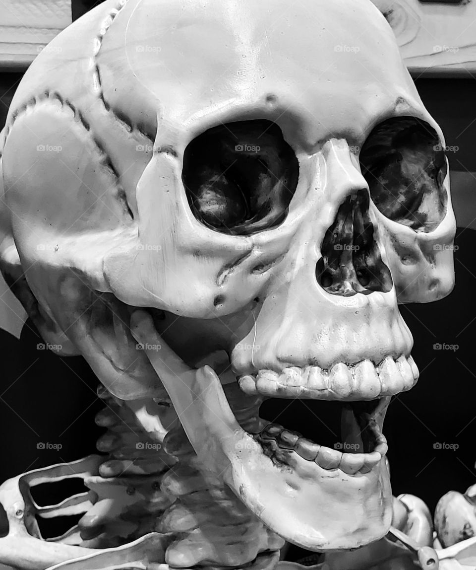 Halloween Skeleton in Black and White