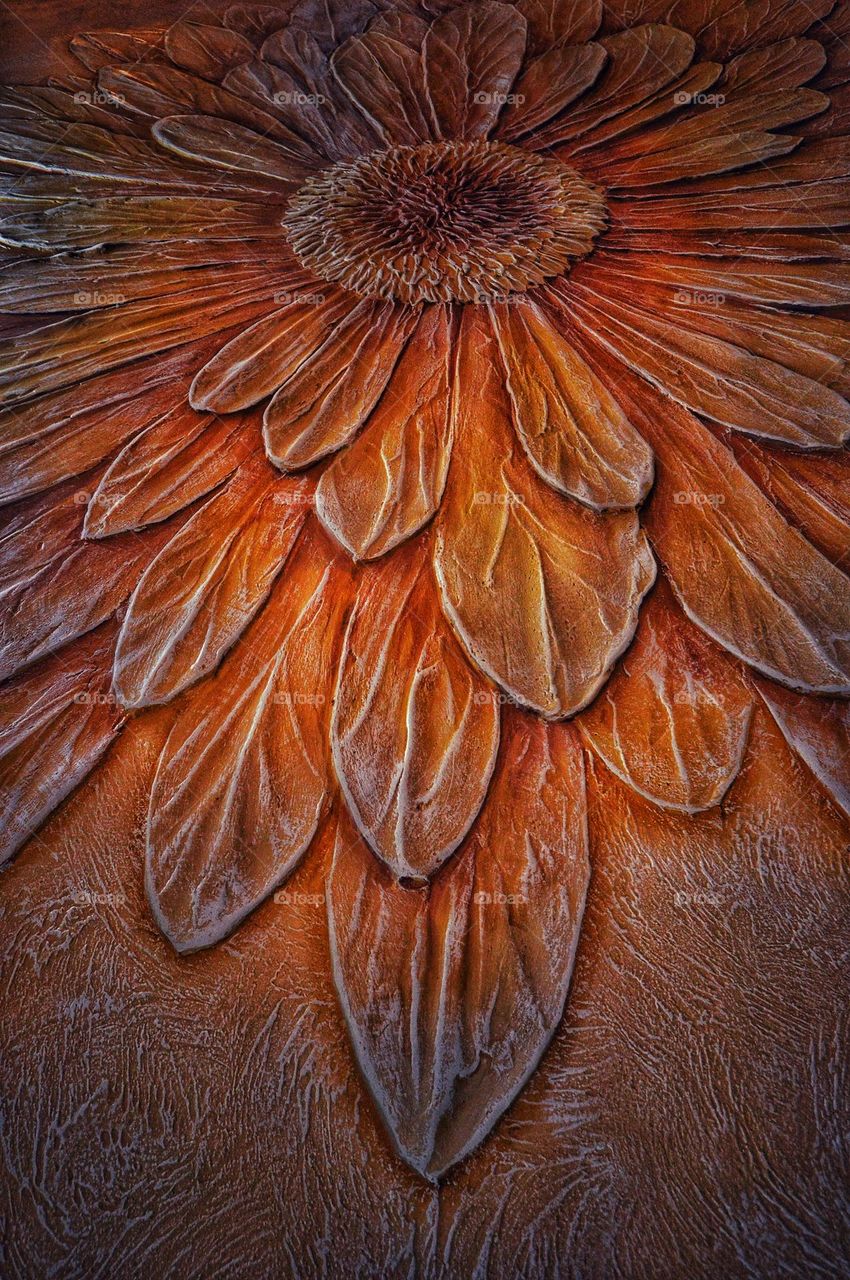 volumetric plaster on the wall in the form of flower petals. bright orange color high definition.