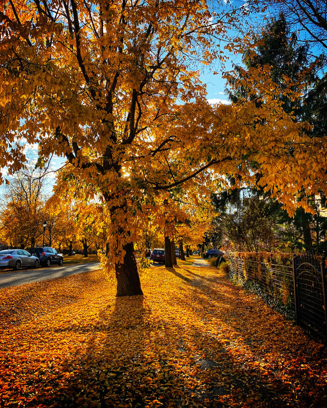 Fall is in the air