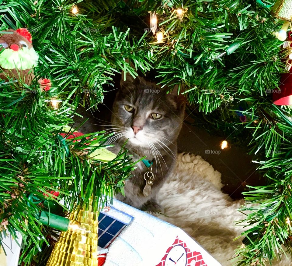 It’s a tradition for me too