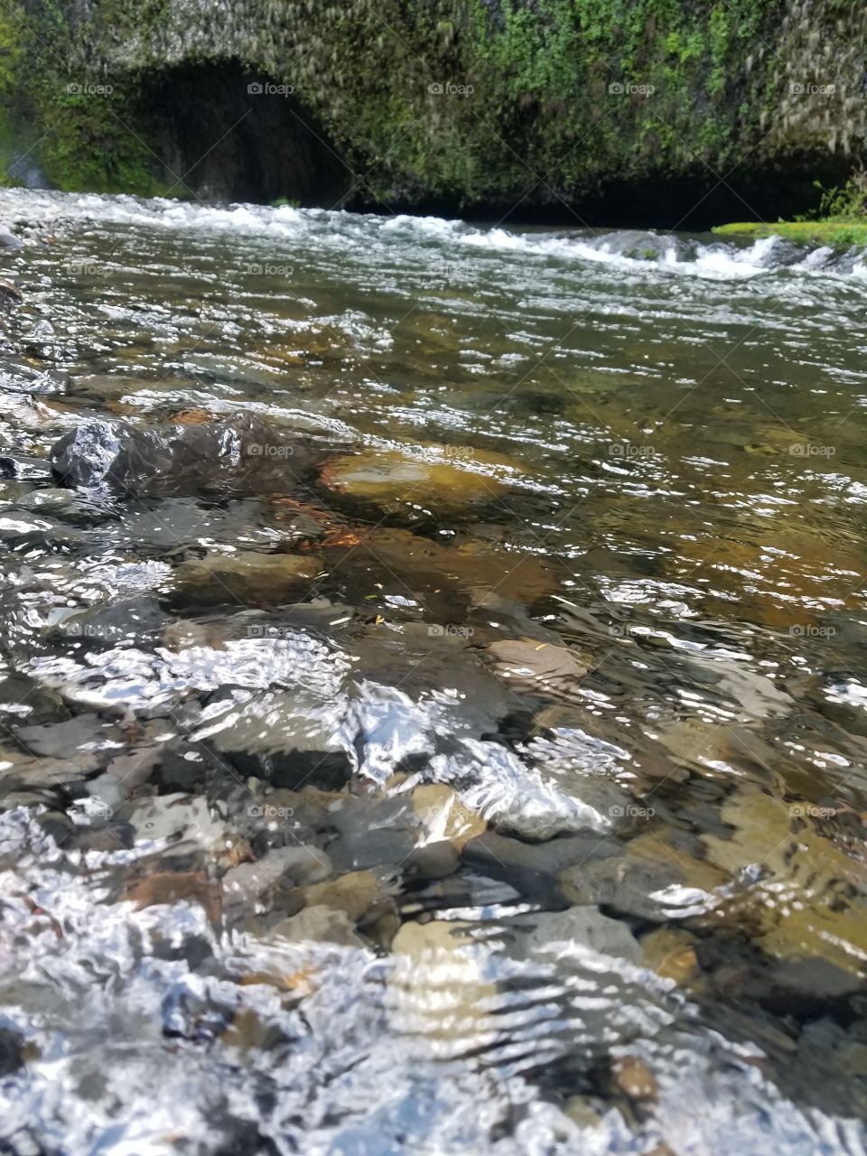 Water, Nature, River, Stream, No Person