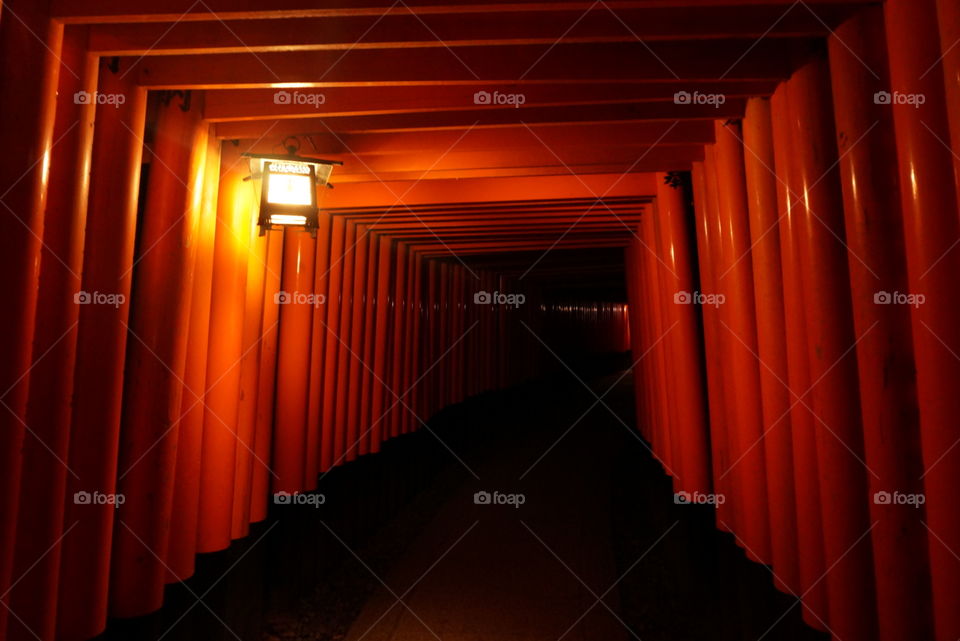 Fushimi Inari. The thousands archway