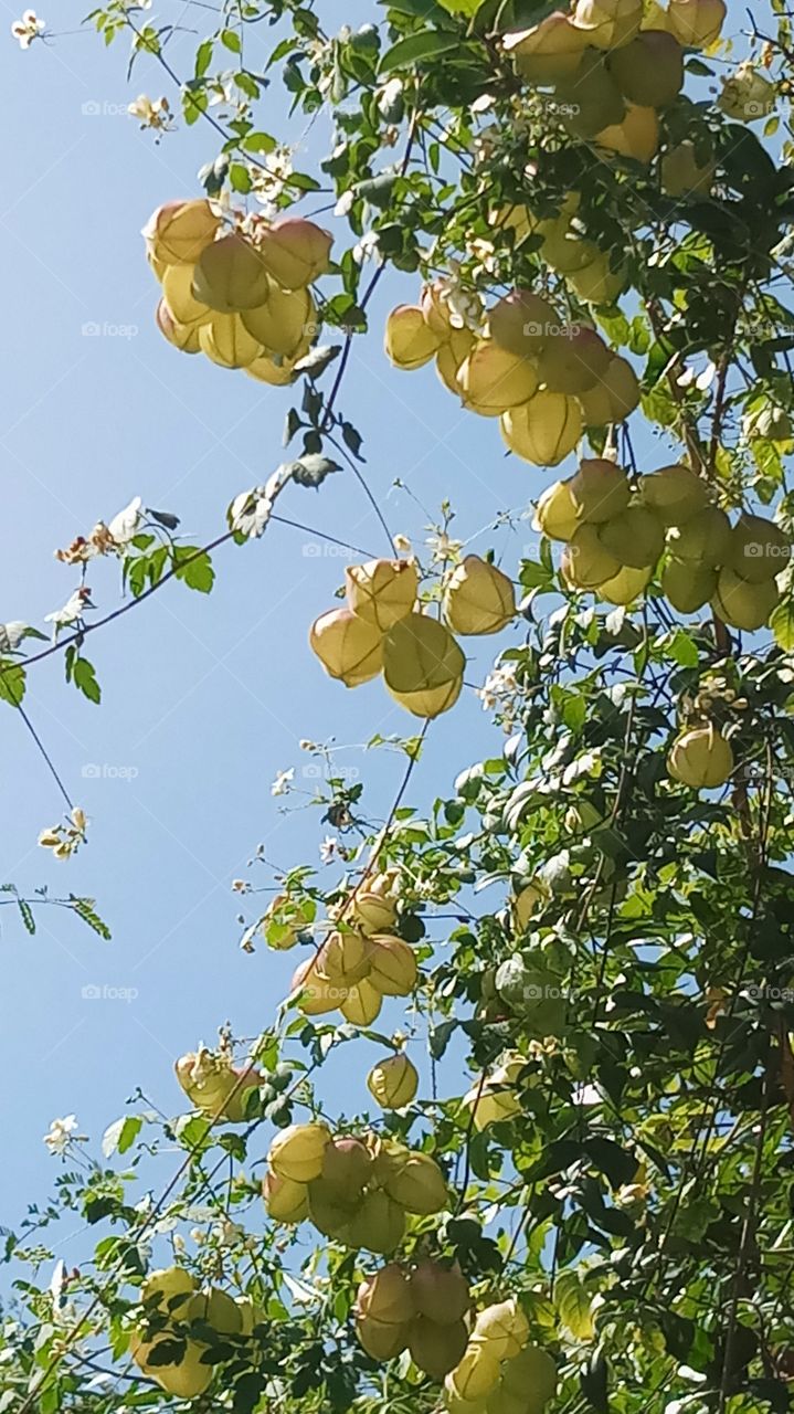 This is very nice click and beauty and nature