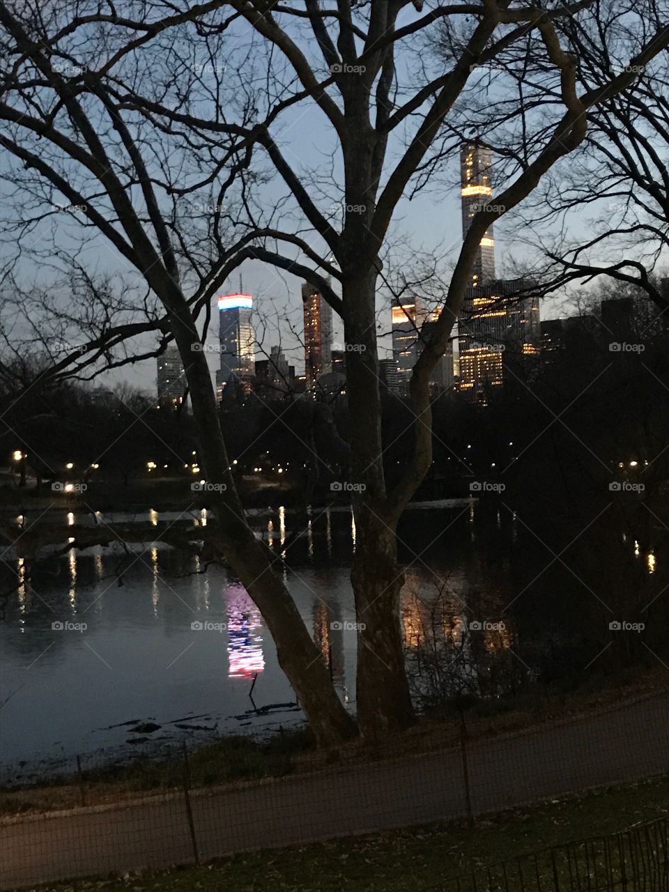 Evening reflections in Central Park, NYC 