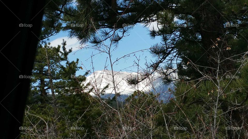 Snow capped mountain