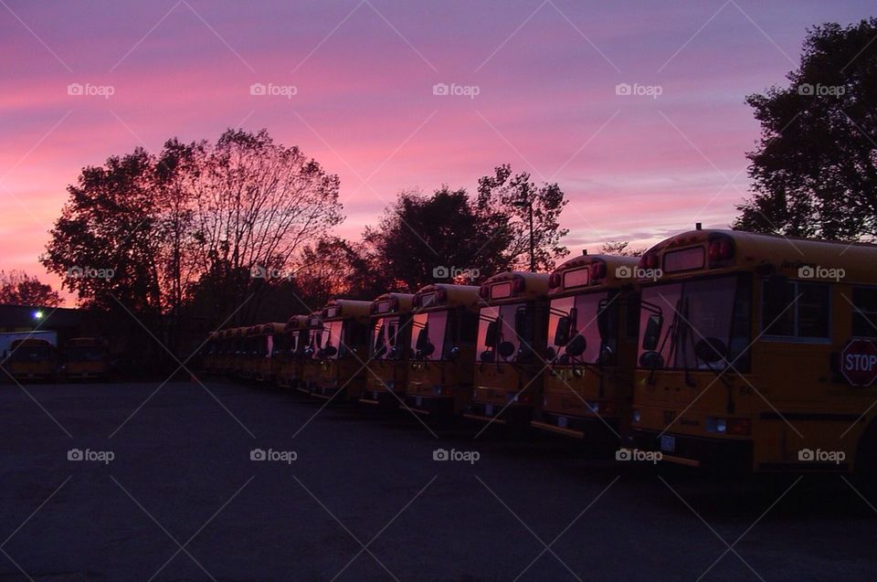 School bus sunrise