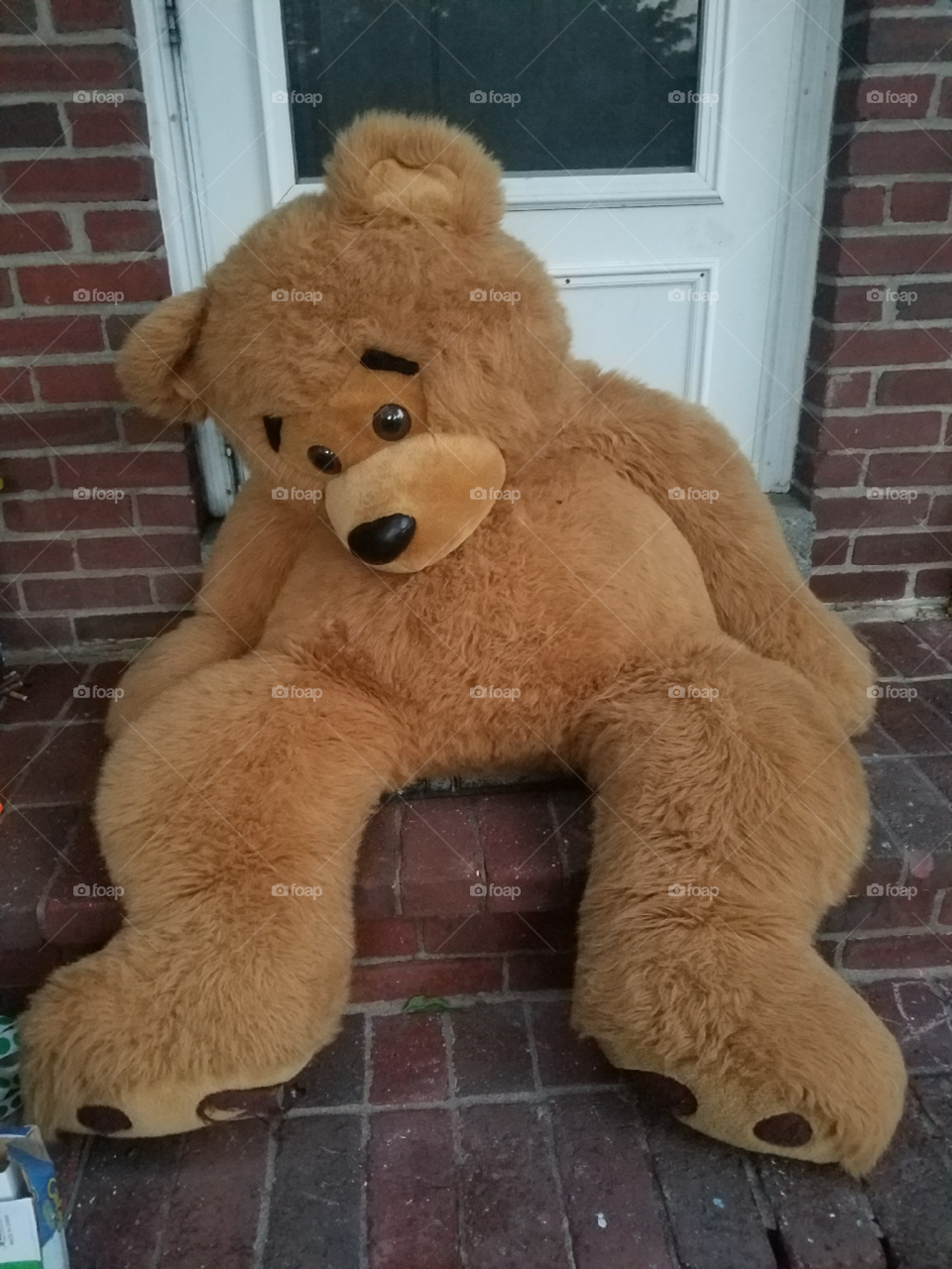 Sad Teddy