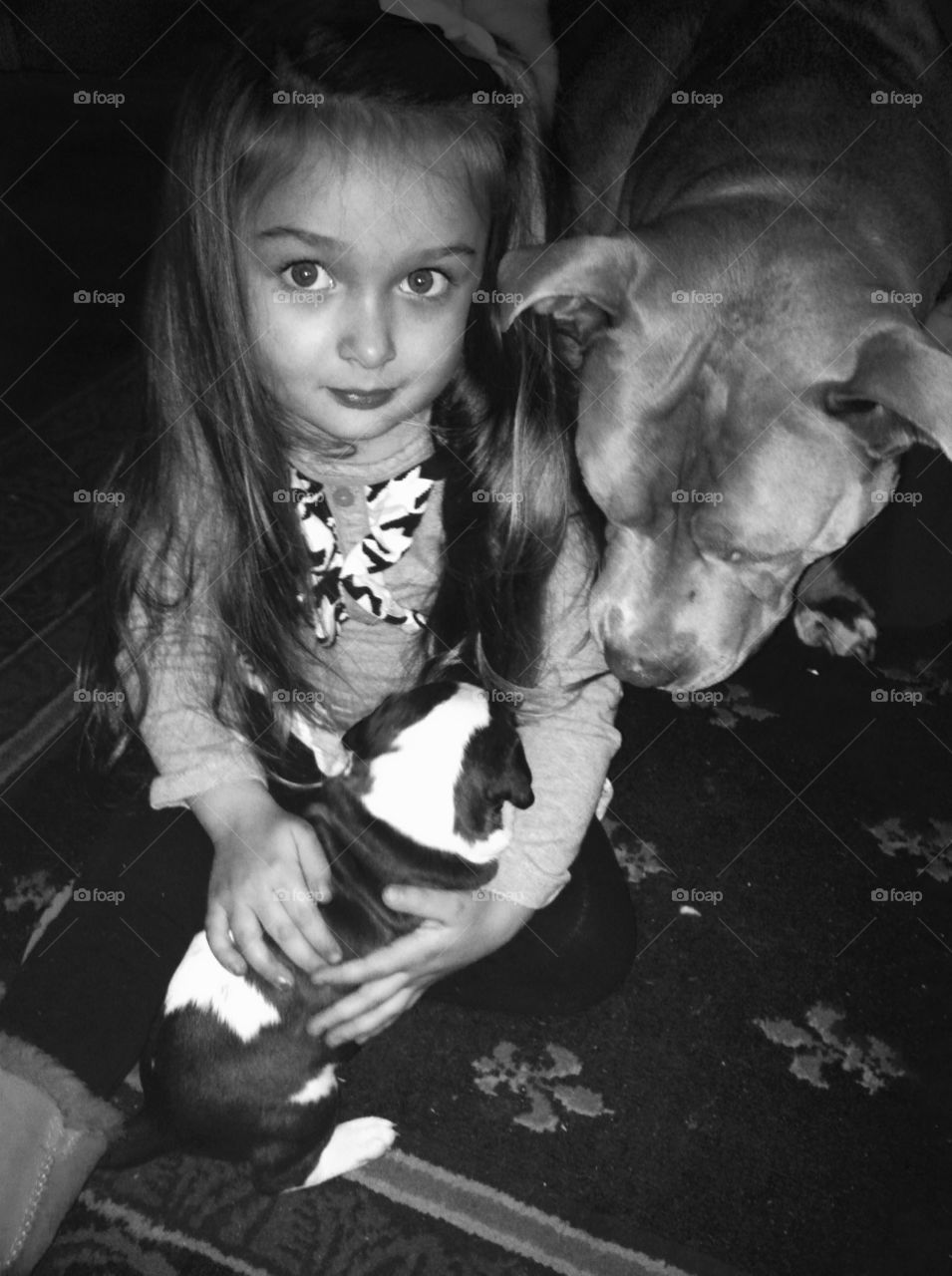 Jillian, chevy & puppy. My daughter, holding a puppy while the pup's dad looks on. 