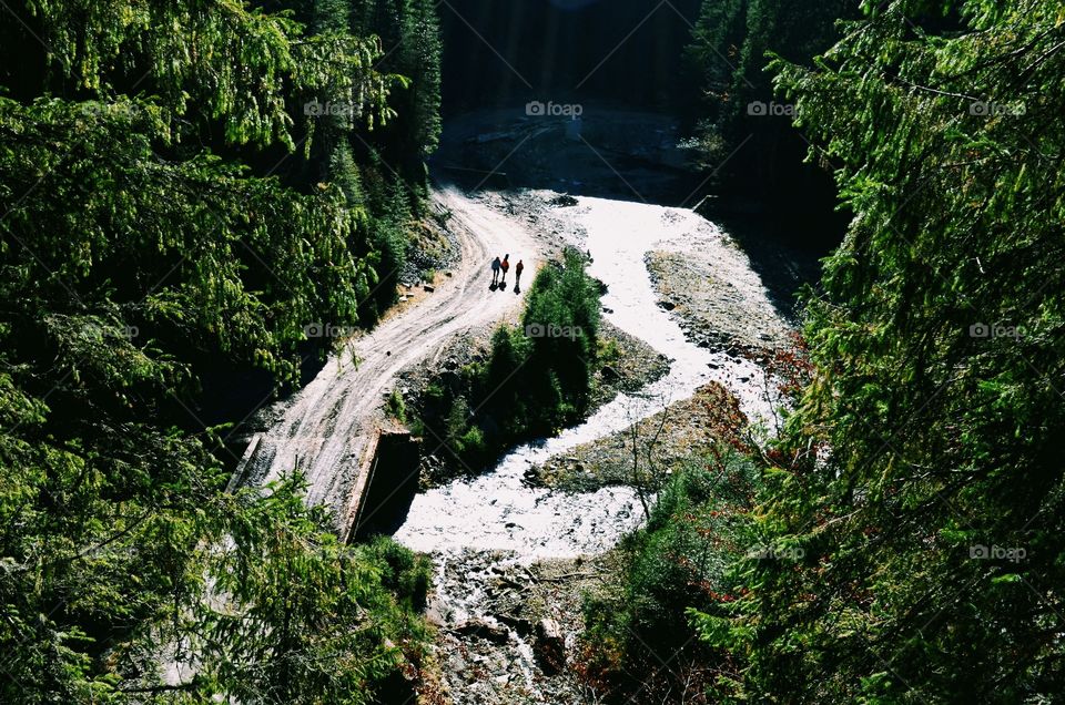 Hikers in nature