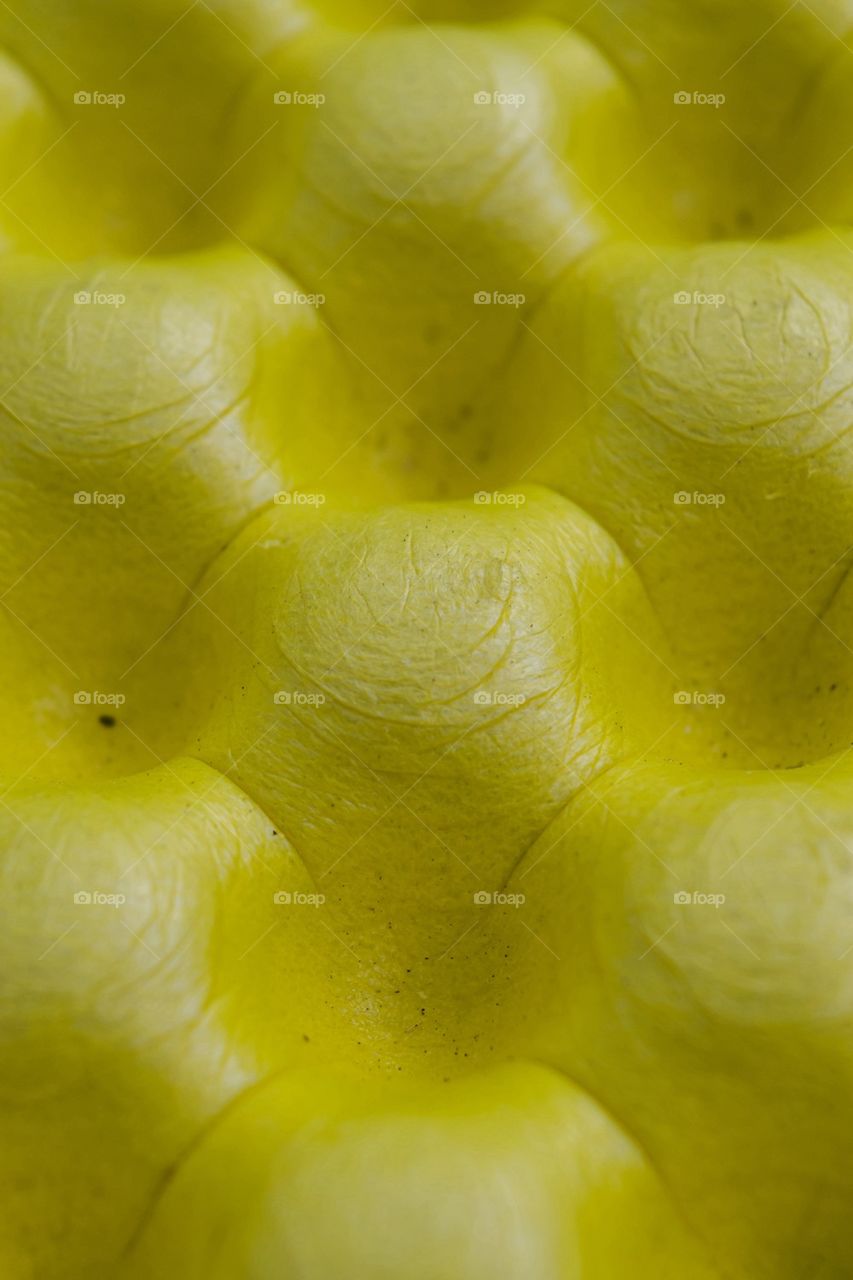 Yellow Bumps