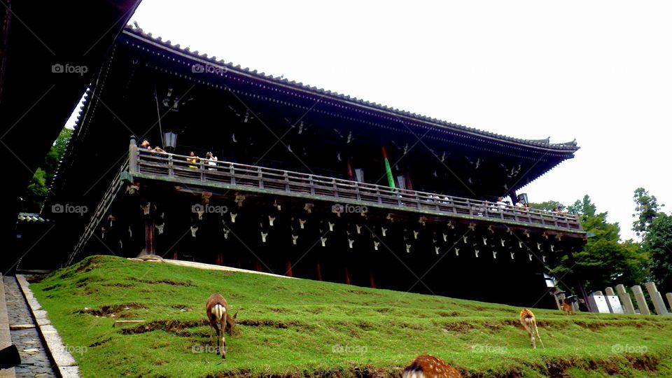 A temple in Nara