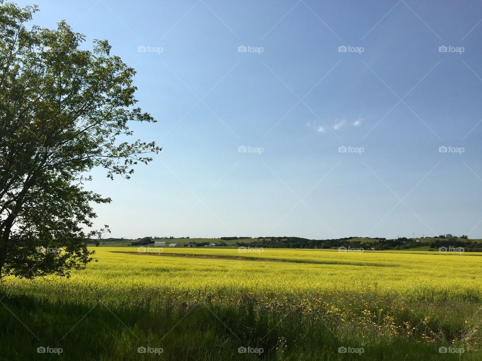 Brandon Manitoba prairie farm land 