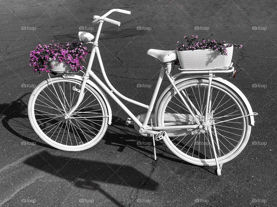 White bicycle with purple flowers 