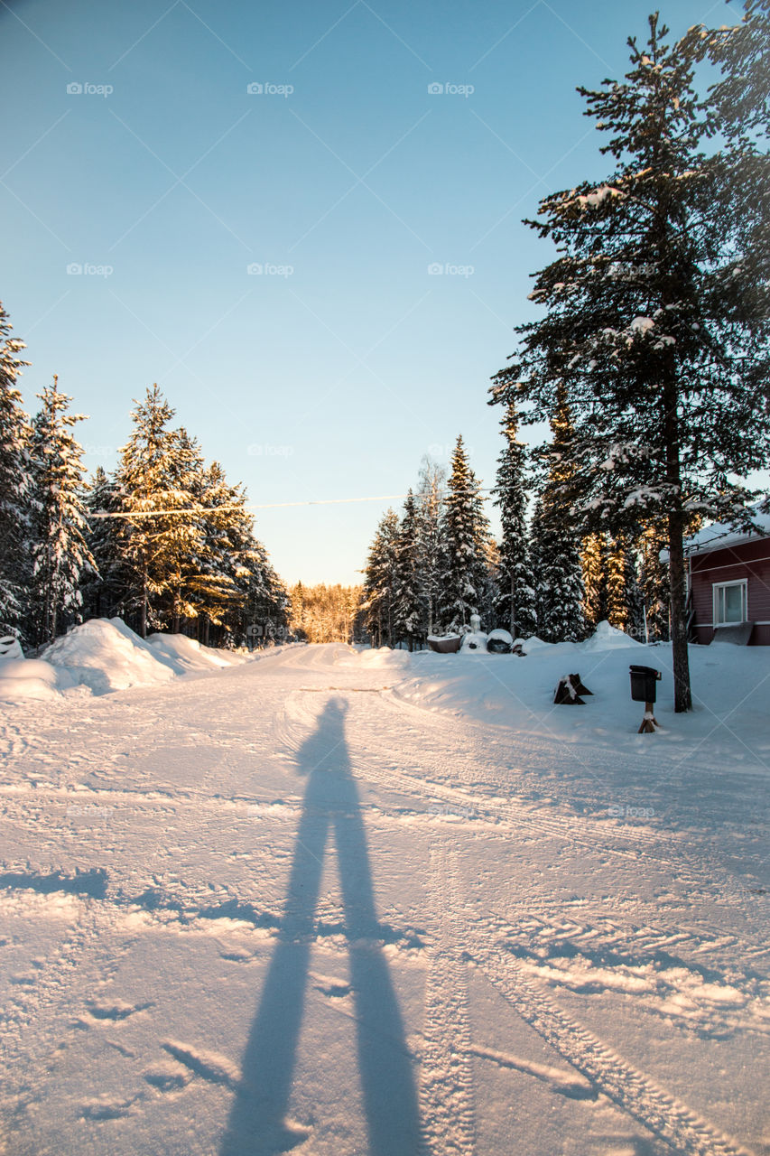 winter in Finnish Lapland