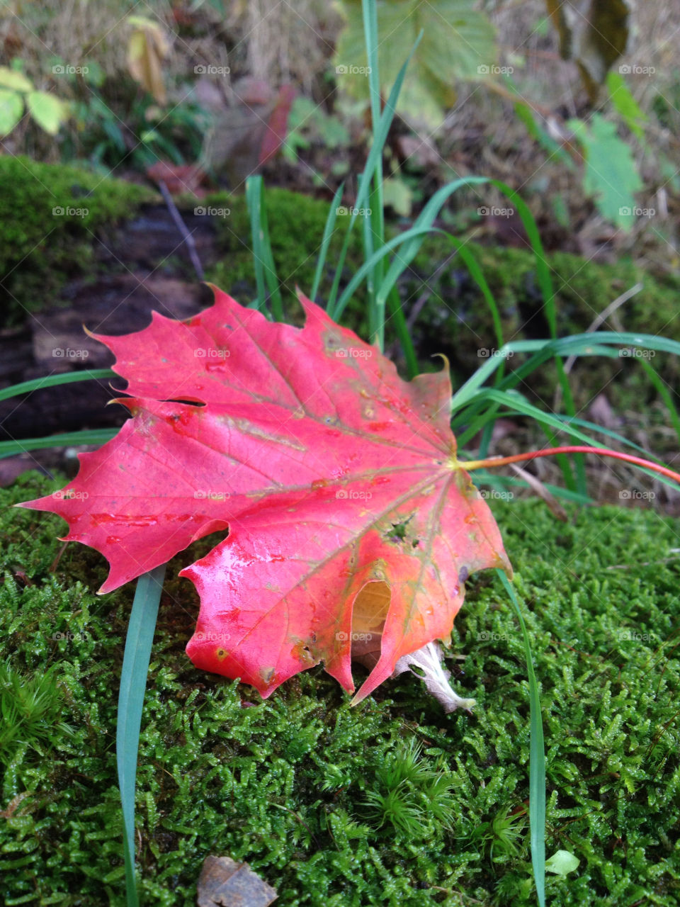 sweden autumn karlskrona mission4 by nellix90