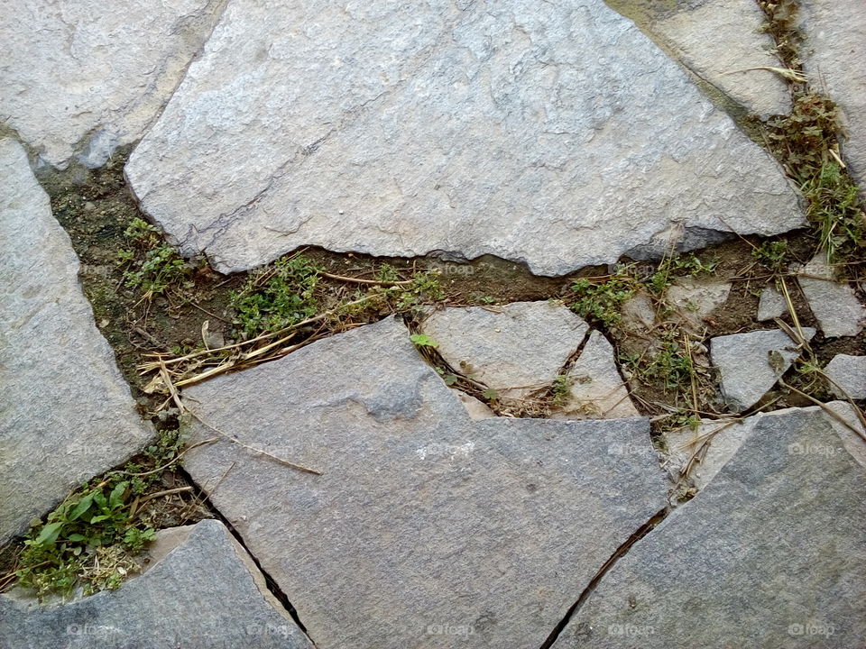 Soil through Cracked Stones
