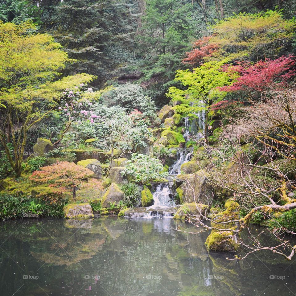 Japanese Garden-Portland