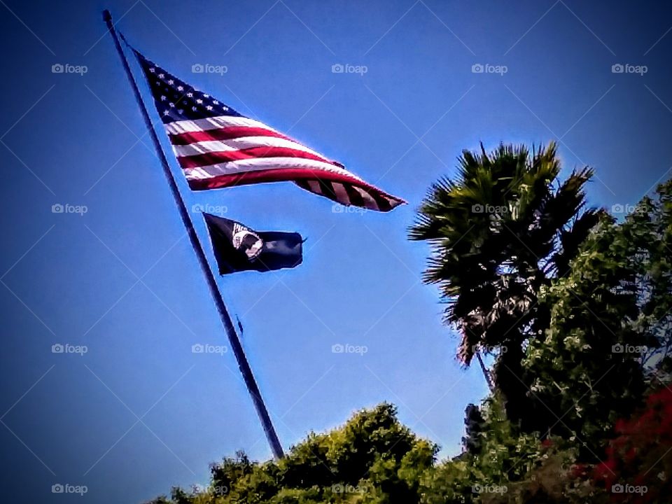 Flag Day , Remembering our Vetrans