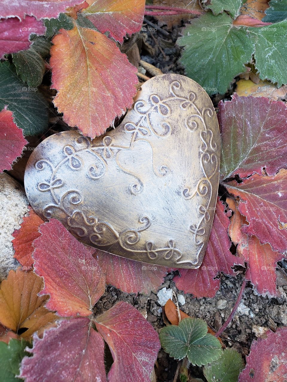 the golden heart and strawberry leaf