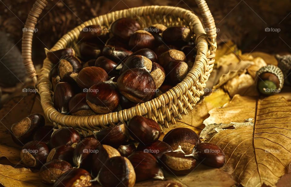 Chestnuts tumble out on to a leaf strewn background 