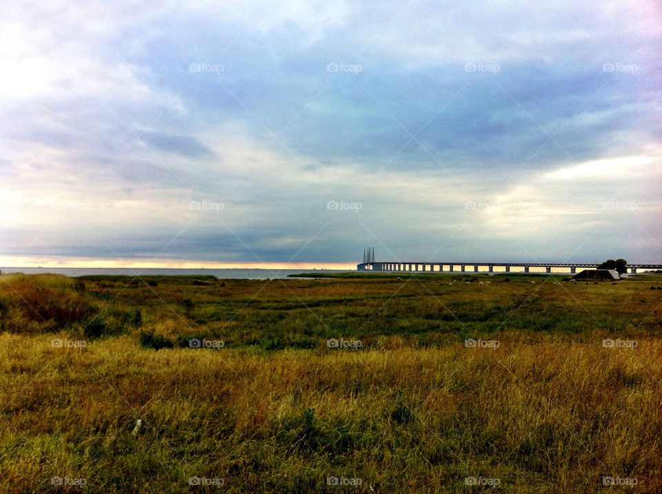 ocean malmö grass summer by evildex