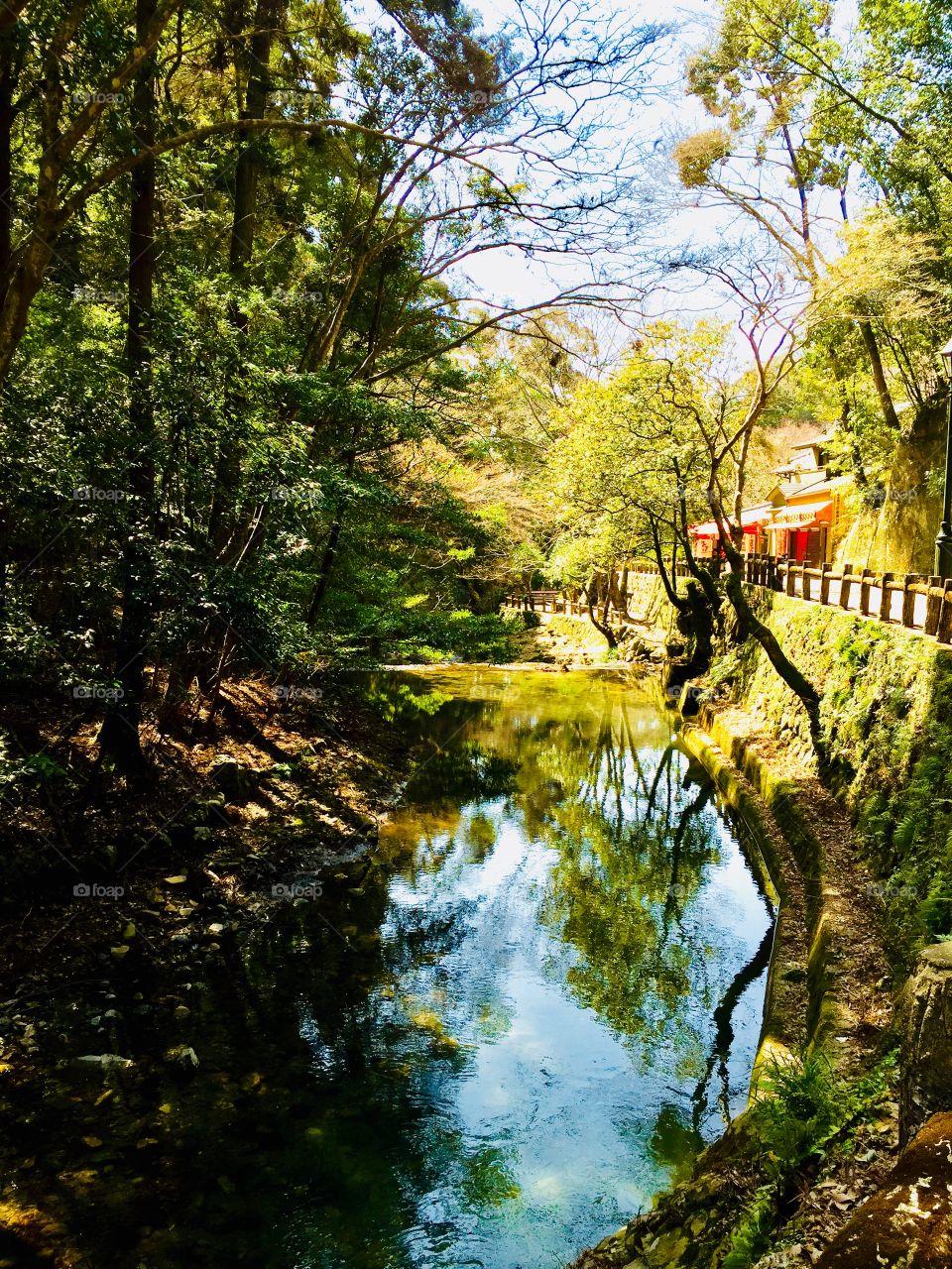 spring is almost there