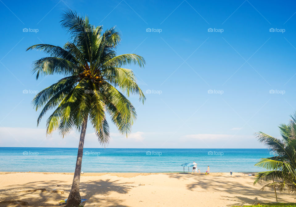 Sand, Tropical, Beach, Summer, Idyllic