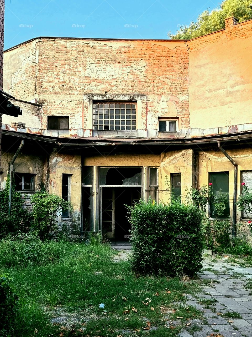 abansoned painter colony