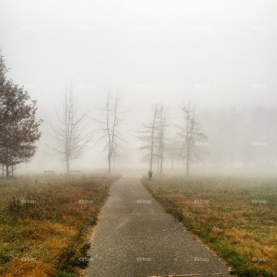 Foggy running 