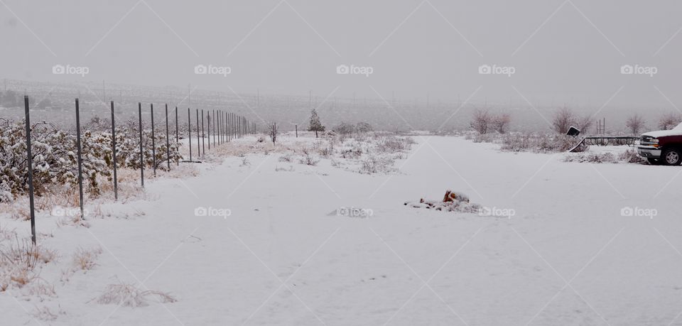 Snow in the High desert of California 