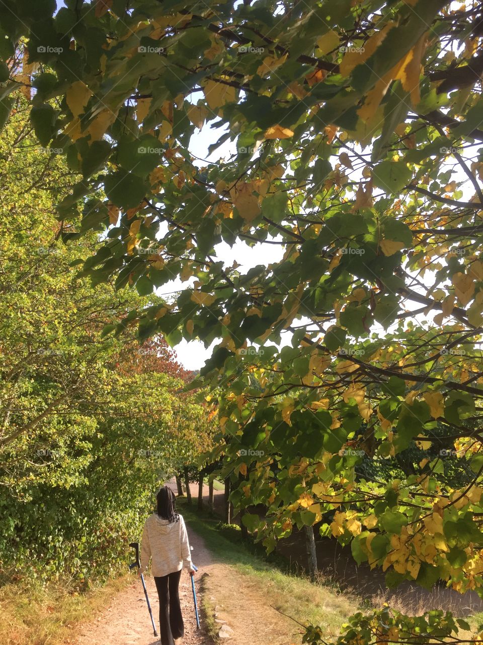 Girl on a walk in the woods in autumn