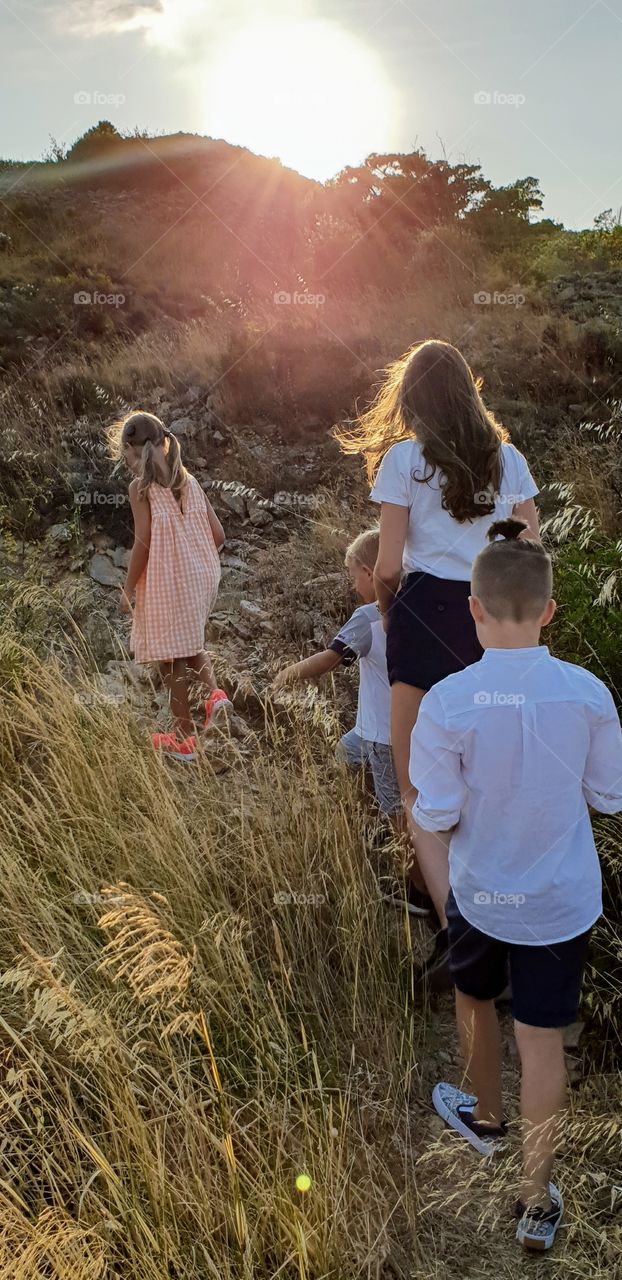Four children walking in evening sunlight