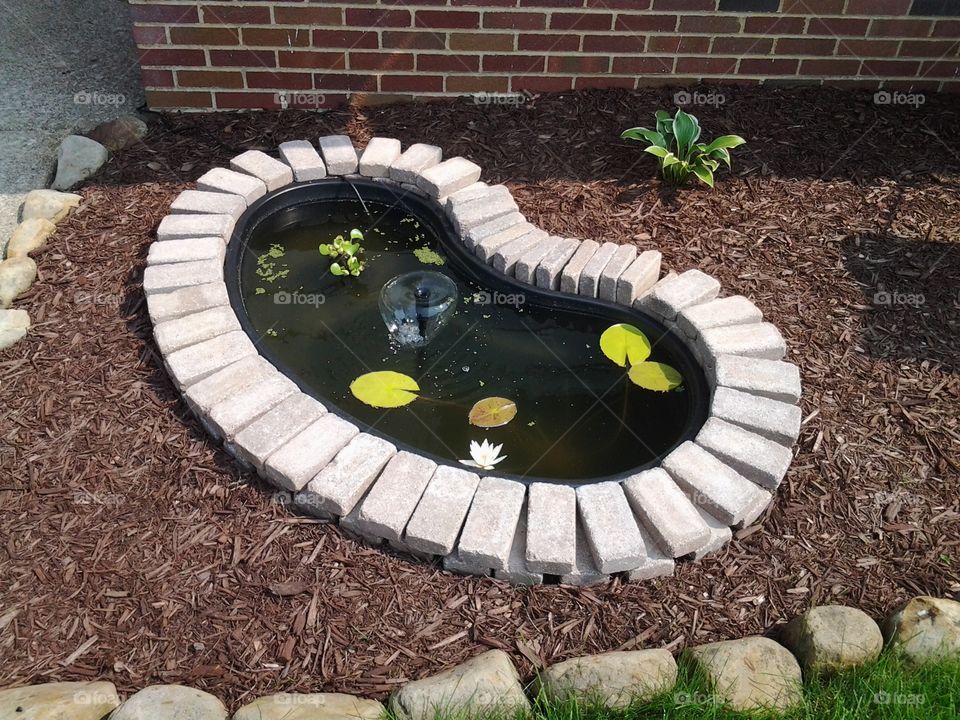 Do it yourself pond