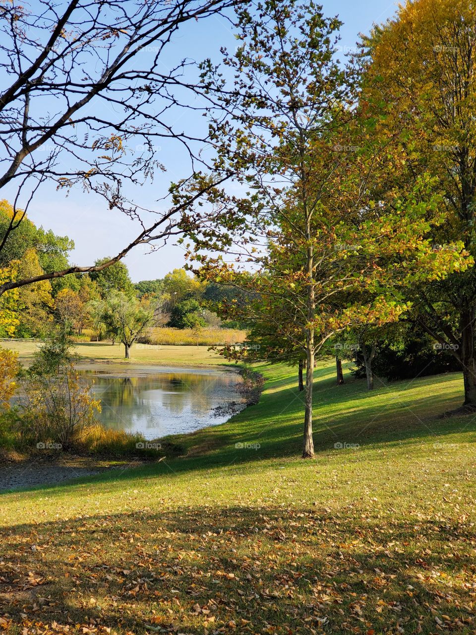 Beautiful fall weather