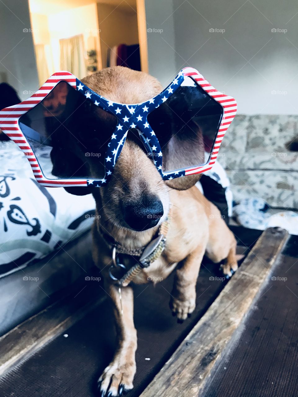 Pose for 4th Of July 